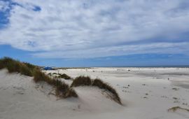 Sasja van Rosmalen (beeld te gebruiken in overleg, contact communicatie.esg@wur.nl) Strand Terschelling