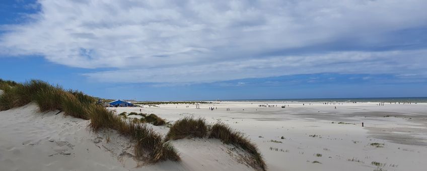 Strand Terschelling