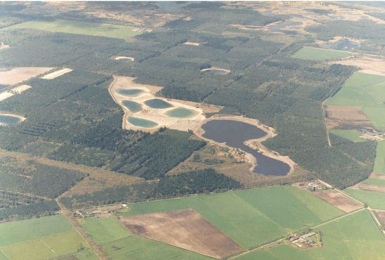 Resultaat van uitvoering Keelvenproject van Jos Truijen in gemeente Someren: van zeer slecht bos naar natuurontwikkeling met vennen