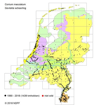 Verspreiding Gevlekte scheerling