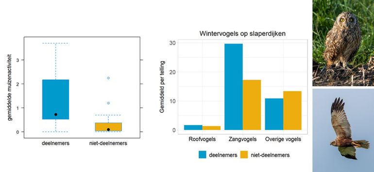 Figuur 1. Links: gemiddeld aantal sporen van muizenactiviteit per vierkante meter per dijkvak van deelnemers en niet-deelnemers in 2021. Rechts: gemiddeld aantal individuen overwinterende vogels per telling in de periode oktober 2021 t/m maart 2022 in dijkvakken van deelnemers (50 hectare) en niet-deelnemers (50 hectare) 