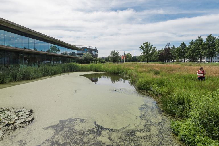 Waterdiertjes zoeken bij het NIOO