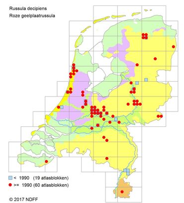 Verspreidingskaartje Roze geelplaatrussula