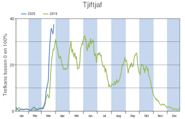 Trefkans van de tjiftjaf in 2019 (groene lijn) en 2020 (blauwe lijn)