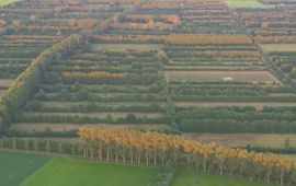 provincie Gelderland Aaltense goor vanuit de lucht