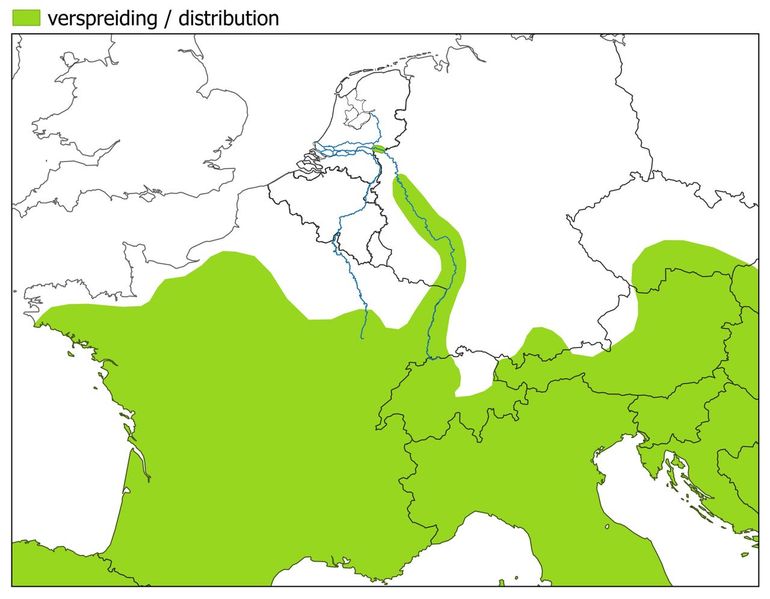 Uitbreiding van de zuidelijke sikkelsprinkhaan