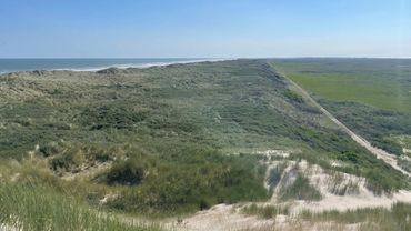 Vanaf 1937 werkten eilanders aan de stuifdijk die nog steeds een deel van de Boschplaat van de zee scheidt