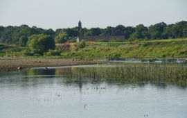 Grensmaas bij Borgharen