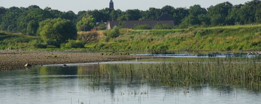 Grensmaas bij Borgharen