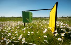 Taco van der Eb Insectencamera in het wormerveld
