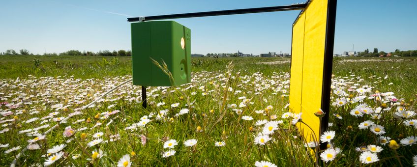 Insectencamera in het wormerveld