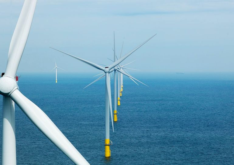 Ook de biodiversiteit rond windparken wordt gemonitord, bijvoorbeeld met een robotarm die de begroeiing van windturbinepalen schraapt