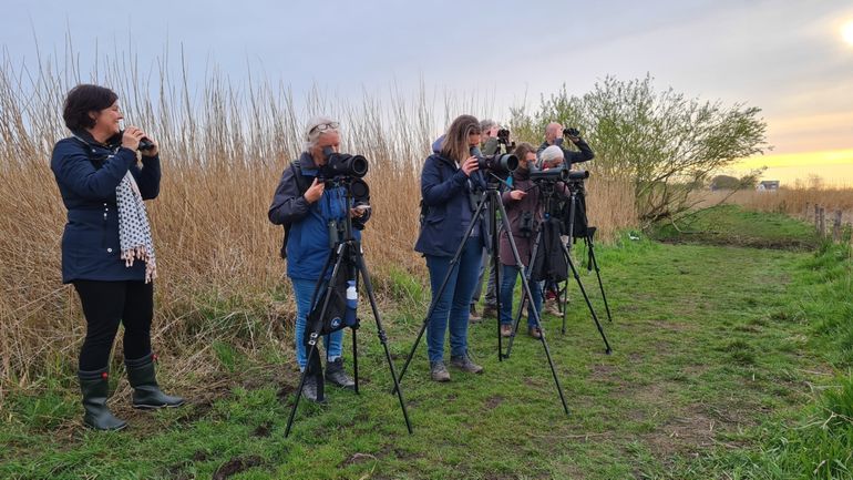 Water- en wintervogelcursus tijdens een excursie