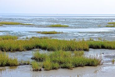 Waddenzee