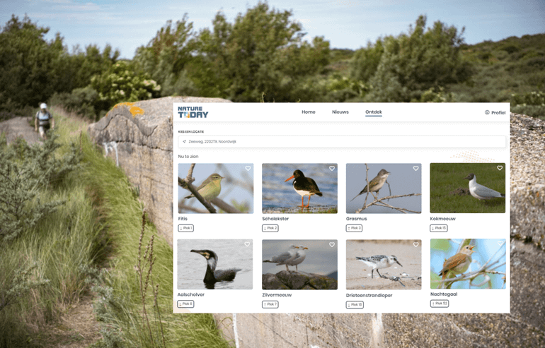 Weergave van verwachte vogelsoorten in de Nature Today-app aan de start van ‘Wandelroute Atlantikwall’ van Staatsbosbeheer (Zeeweg, 2022TX Noordwijk)