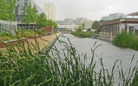 Provincie Gelderland water en groen in woonwijk (brochure)