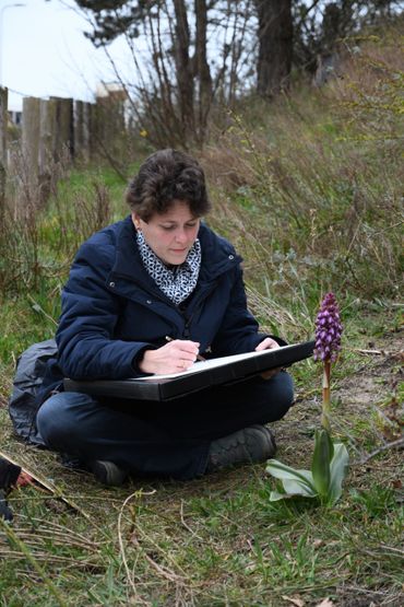 Esmee Winkel tekent de Hyacintorchis