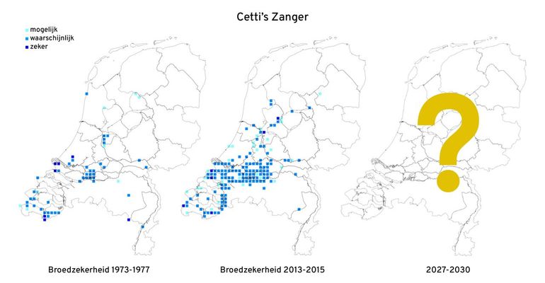 Verspreidingskaart (broedzekerheid) van Cetti&rsquo;s zangers in 1973-77 (links), 2013-15 (midden) en 2027-30 (rechts)