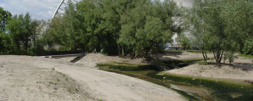 brug bij eiland van brienenoord