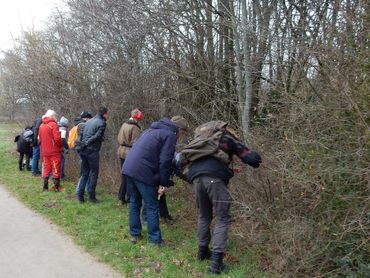 Altijd spannend: vinden we eitjes en zo ja, hoeveel?