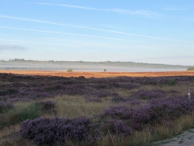 Ginkelse Heide