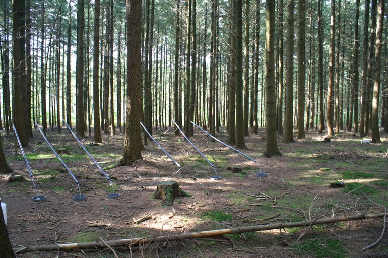 Depositiemeting in Speulderbos