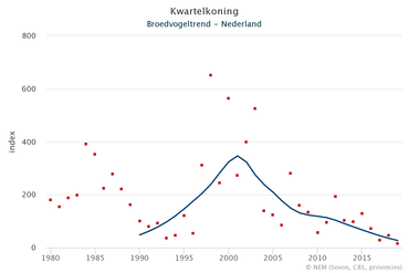 Broedvogeltrend van de kwartelkoning. De goede jaren zijn voorbij