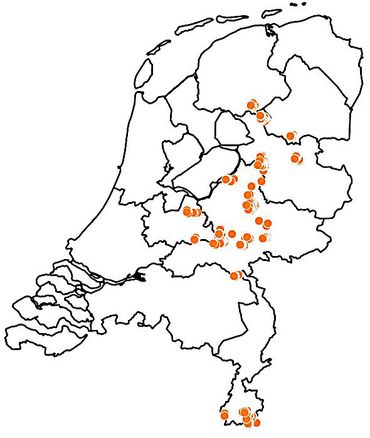 De populaties van de sleedoornpage de afgelopen 5 jaar