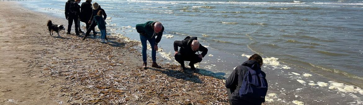 Strandwachters op het strand