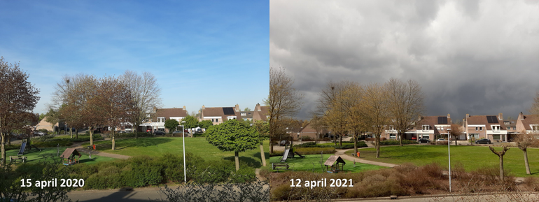 Verschil in ontwikkeling planten in een parkje in Veldhoven tussen half april 2020 en 2021