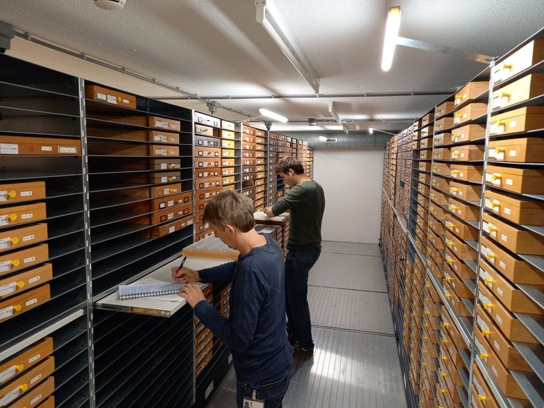 In de collectietoren van Naturalis worden de exemplaren gefotografeerd, geregistreerd en opgeslagen