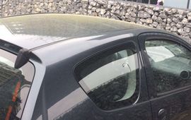 Letty de Weger Laagje pollen op auto