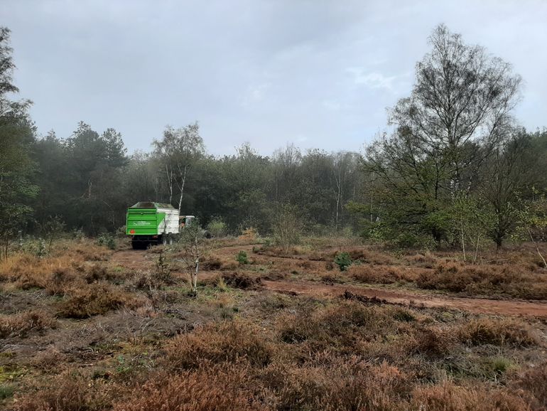 Door te chopperen verwijder je de stikstofrijke bovenlaag. De heide krijgt hierdoor weer kansen om zich te ontwikkelen 