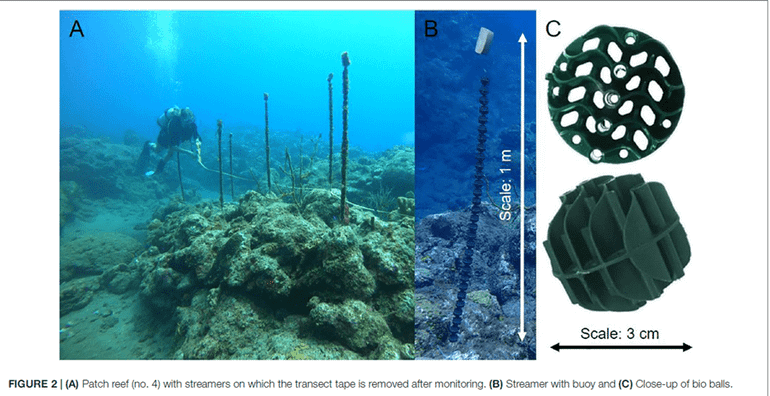 A: Rif recovery with streamers; B: streamer with buoy; C: close-up of bio balls (Bron: Alwin Hylkema)