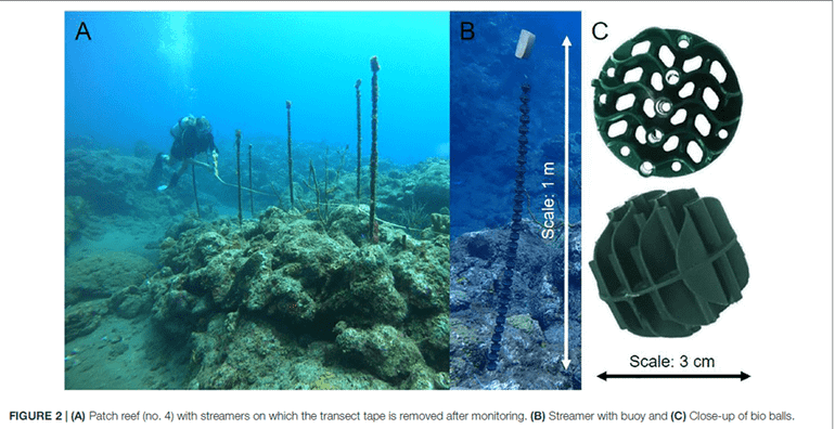 A: Herstel rif met wimpels; B: wimpel met boei; C: close-up van bioballen