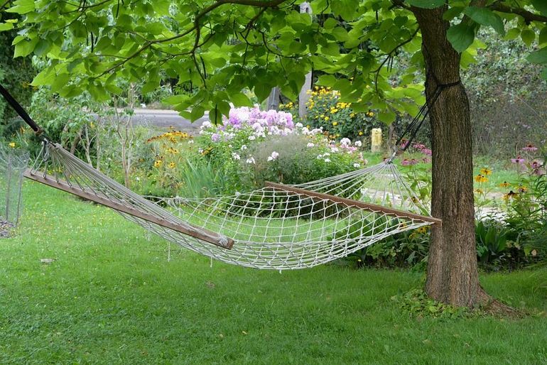 Hoe meer u lummelt, hoe vogelvriendelijker die tuin wordt!