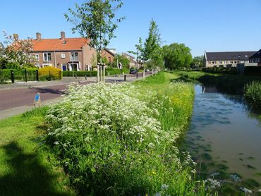 Basiskwaliteit natuur is hoognodig, ook in het stedelijk gebied