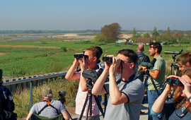 Vrijwilligers met verrekijkers