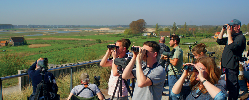 Vrijwilligers met verrekijkers