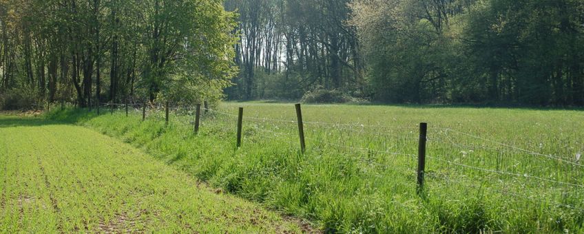 De landbouw is onlosmakelijk met de natuur verbonden en kan onderdeel van de oplossing zijn