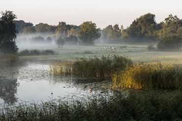 Kwelwater vasthouden in het gebied