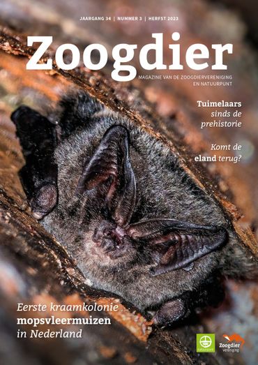 Zoogdier herfst 2023