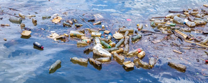 Plastics komen in de natuur terecht.