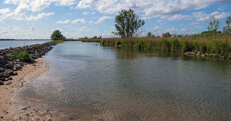 Het eiland Tiengemeten in het Haringvliet, hier is de Kaukasische dwerggrondel gevangen. De soort komt voor in een variëteit aan habitats, inclusief zeer ondiepe begroeide en onbegroeide wateren