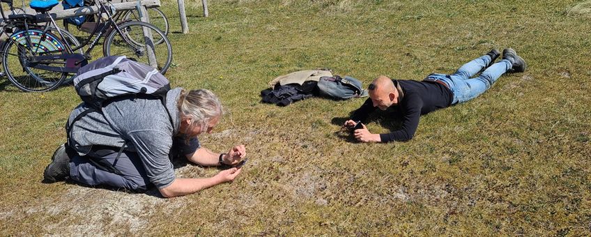 Floristen op Vlieland