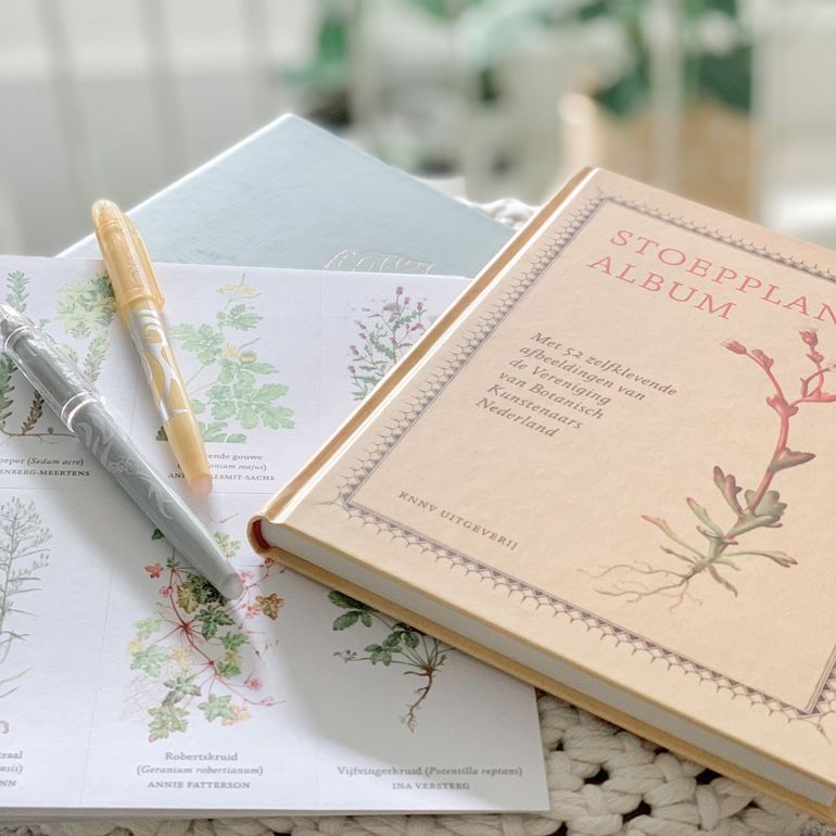 Stoepplantjesalbum