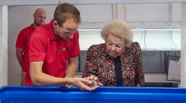 Sea urchin hatchery