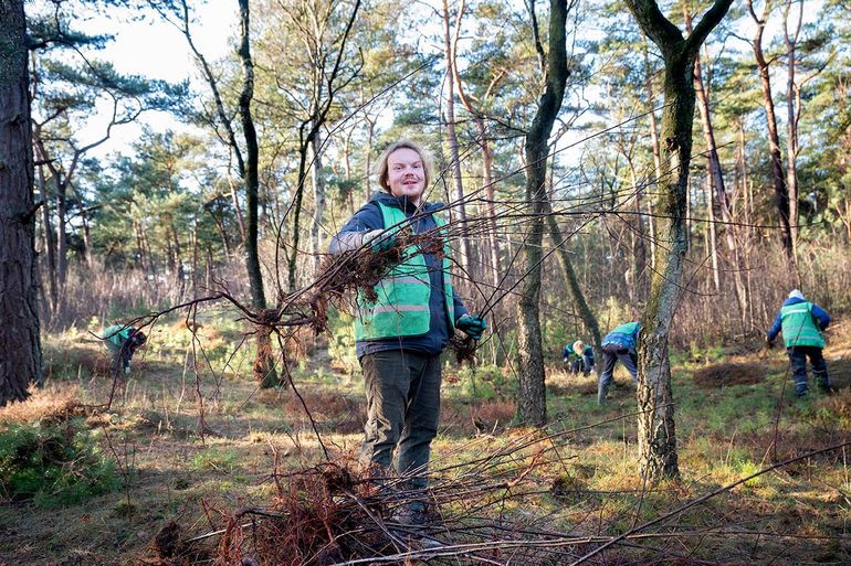 De vrijwilligers krijgen een goede instructie hoe zij de bomen moeten oogsten