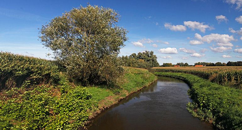 In de Berkel nabij de Duitse Grens werden met eDNA 19 soorten aangetoond t.o.v. de 13 soorten die gevangen werden in de traditionele visbemonstering