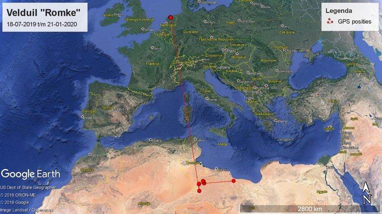 Verplaatsing van de gezenderde Velduil 'Romke' van Friesland naar Libië. Van onderweg zijn geen GPS-posities beschikbaar.